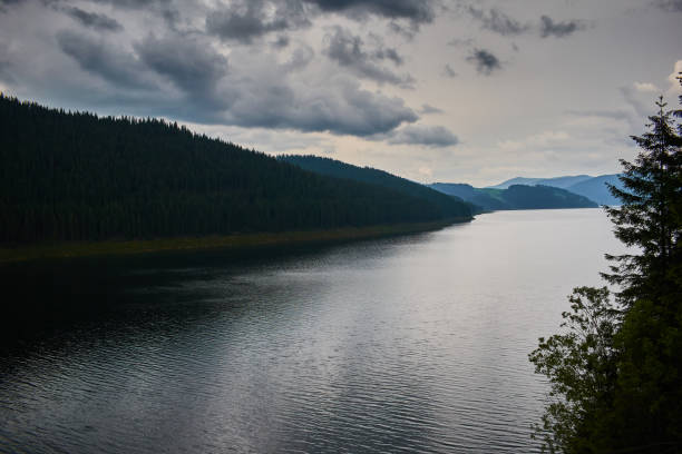 istock Lake Vidra in mountains rain day clouds forest 1181676810