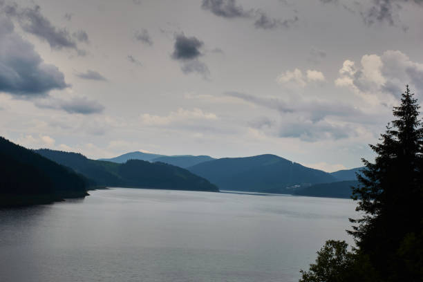 istock Lake Vidra in mountains rain day clouds forest 1181676861