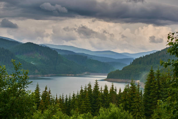 istock Lake Vidra in mountains rain day clouds forest 1181677604