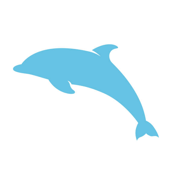 niebieska ikona delfina płaska ikona wektora izolowana na białym - freedom fish water jumping stock illustrations