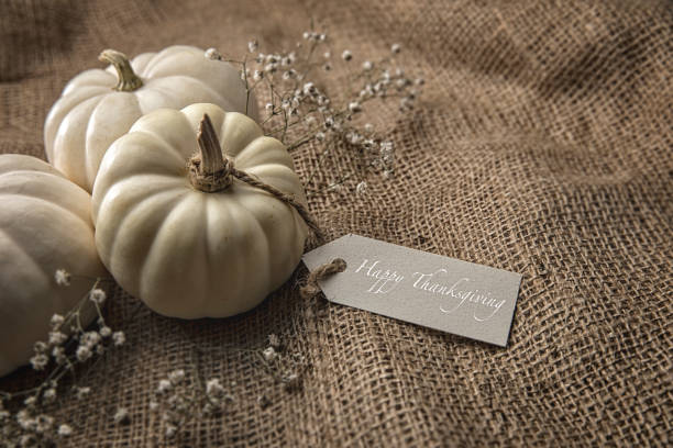 istock Autumn White pumpkins on Burlap background 1181682603