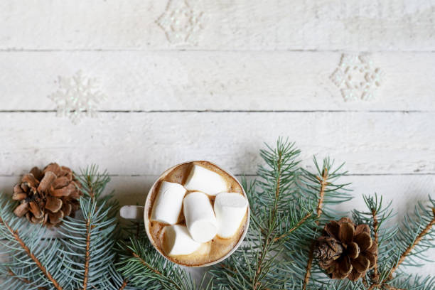 istock Christmas hot chocolate with marshmelow on white wooden background, christmas tree branches decorating, copy space 1181684597