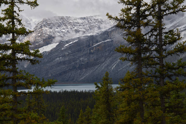 istock Canadian Rockies_5248 1181685812