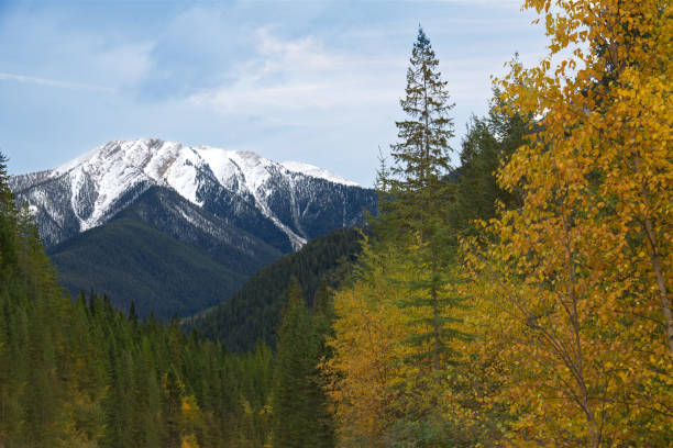 istock Canadian Rockies_5322 1181686151