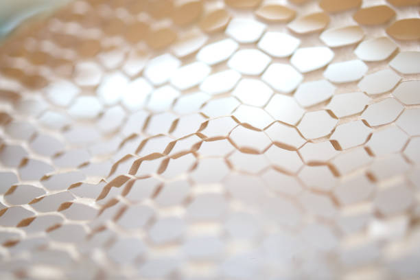 istock alveoli paper kraft 1181692862
