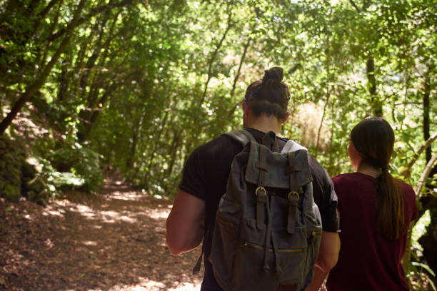 istock Couple walking past large trees in a forest 1181693796