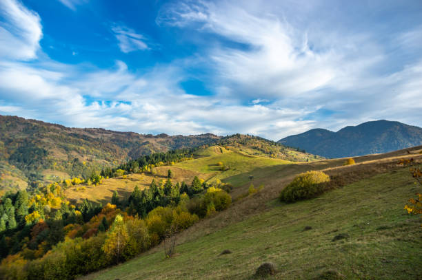 istock Autumn day in the Carpathian mountains 1181693817