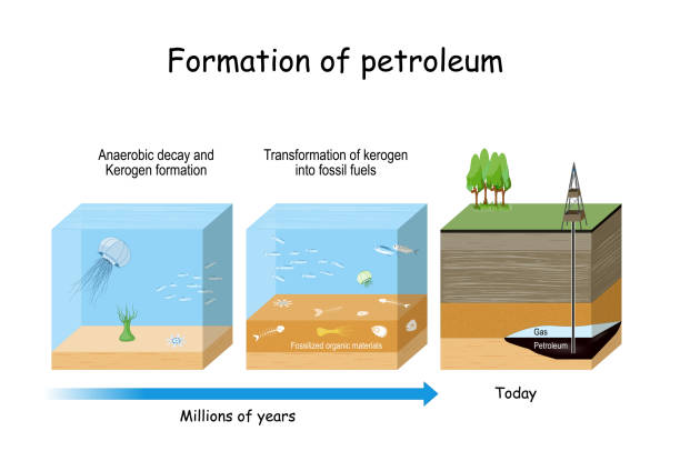 формирование нефти. нефтегазовое образование - gas fuel pump labeling fuel and power generation stock illustrations