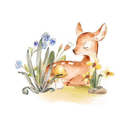 Cute Watercolor Baby Deer with the blue ribbon surrounded by wild flowers and mushrooms over white. Baby Deer sleeping in the forest. Isolated. Nursery print for baby girl oa boy.