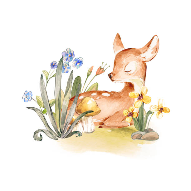Cute Watercolor Baby Deer with the blue ribbon surrounded by wild flowers and mushrooms over white. Baby Deer sleeping in the forest. Isolated. Nursery print for baby girl oa boy. Cute Watercolor Baby Deer with the blue ribbon surrounded by wild flowers and mushrooms over white. Baby Deer sleeping in the forest. Isolated. Nursery print for baby girl oa boy. fawn young deer stock illustrations