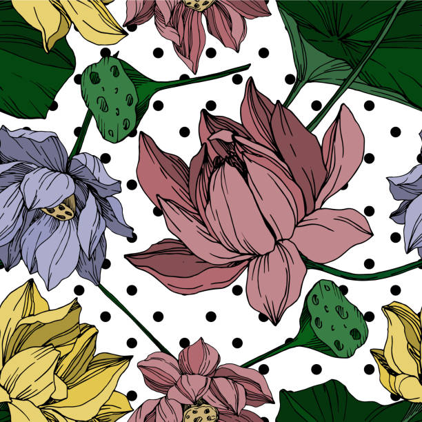 wektor lotus kwiatowe kwiaty botaniczne. grawerowana sztuka atramentowa. bezszwowy wzorzec tła. - lace pink white black stock illustrations