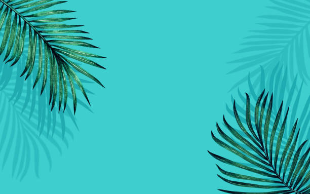 istock Watercolor painting frame coconut leaves palm,green leaf shadow on blue background.Watercolor hand drawn illustration tropical exotic leaf,design,wedding invitation,posters backdrop or save the date. 1181700175