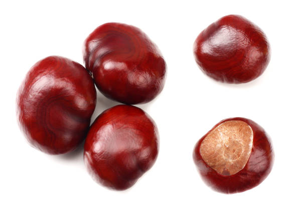 istock chestnuts isolated on white background. top view 1181702468