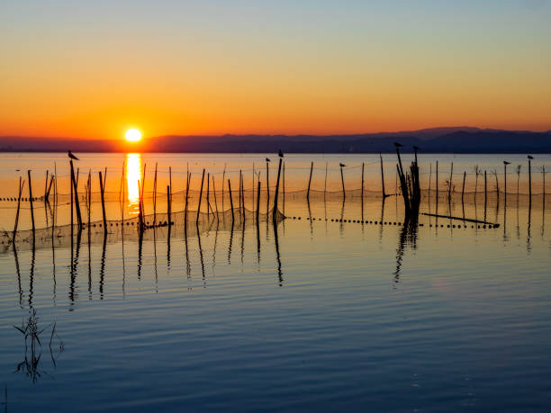 istock Sunset in La Albufera, Valencia. 1181704216