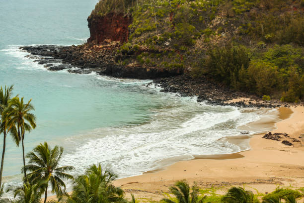 istock Lawai Beach, Kauai 1181704393