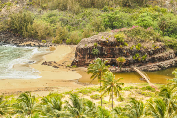 istock Lawai Beach and the bridge, Kauai 1181709844