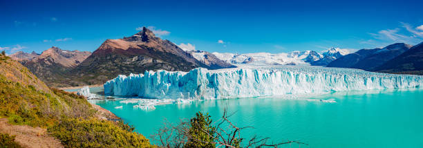 Panoramic view of the gigantic Perito Moreno glacier, its tongue and lagoon in Patagonia in golden Autumn, Argentina Panoramic view of the gigantic Perito Moreno glacier, its tongue and lagoon in Patagonia in golden Autumn, Argentina, sunny day, blue sky icecap photos stock pictures, royalty-free photos & images