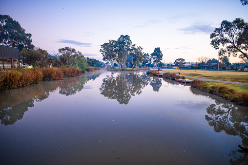 The stillness of water in a lake in Wagga Wagga