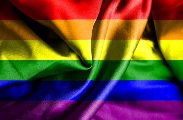istock Gay (Pride) waving flag 1181715699