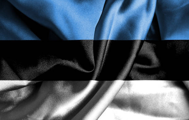 istock Estonia waving flag 1181716751