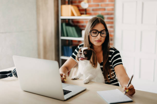 istock We love to work online 1181718037