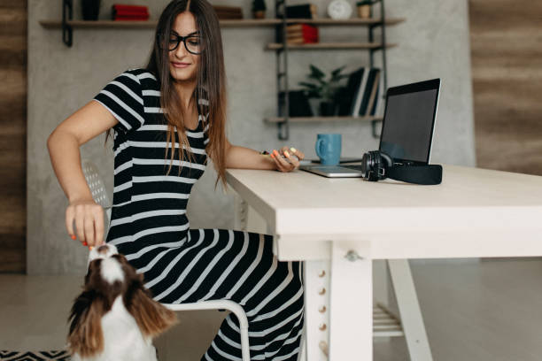 istock My best friend on work with me 1181718070