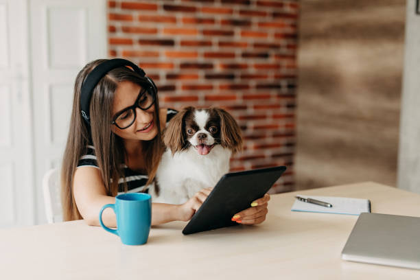 istock My best friend on work with me 1181718103