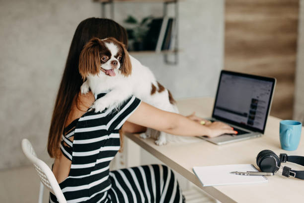 istock My best friend on work with me 1181718159