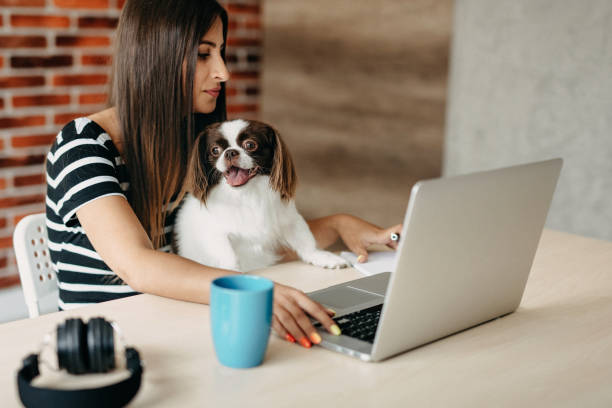 istock My best friend on work with me 1181718186