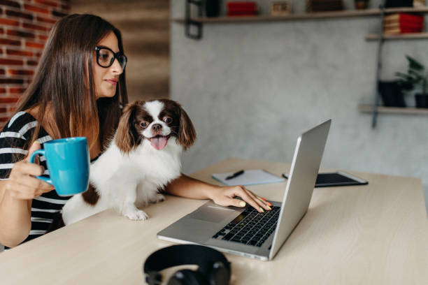 istock Cute dog in office 1181718231