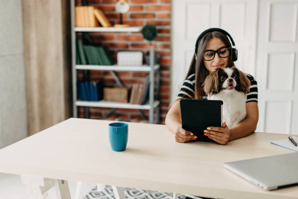 istock Cute dog in office 1181718312