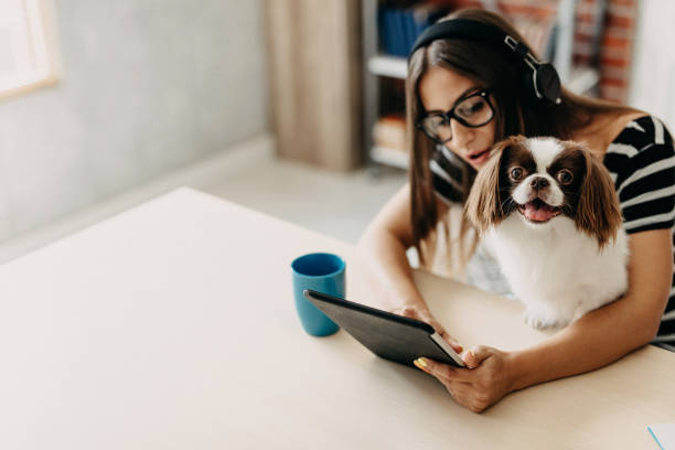 istock Cute dog in office 1181718341