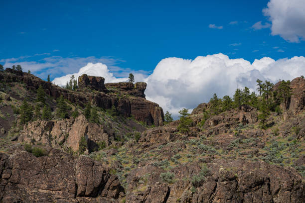 istock Pine and Scrub Plants Dot Steep Rocky Terrain 1181720224