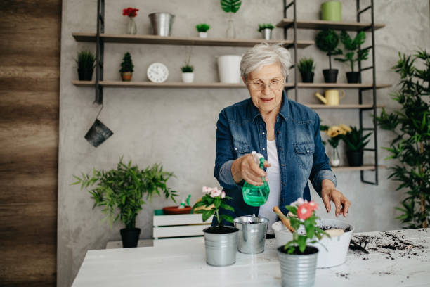 istock Senior woman planting flowers 1181720249
