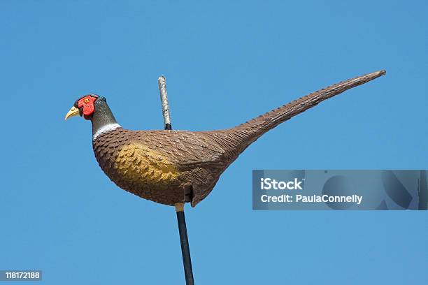 Fasan Decoy Stockfoto und mehr Bilder von Blau - Blau, Farbbild, Fasan