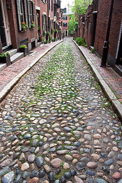 istock Boston's Acorn Street 118172386
