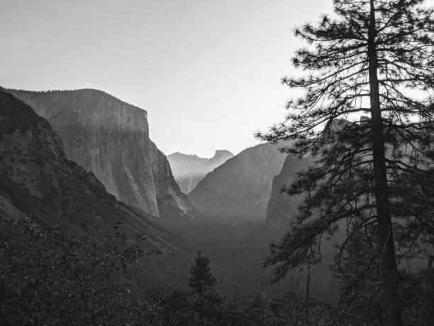 istock Yosemite Valley from Inspiration Point 1181725336