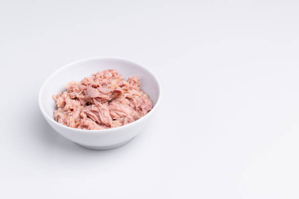 istock Canned tuna in a white bowl, isolated on white background; copy space, soft light, studio shot 1181731479
