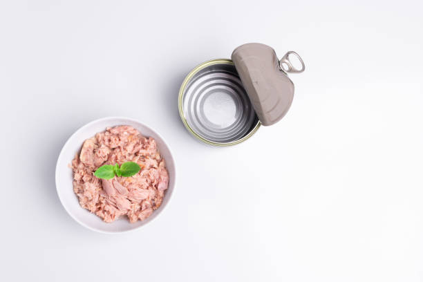istock Canned tuna in a white bowl, isolated on white; empty open tuna tin on a white background; copy space, soft light, studio shot 1181731507