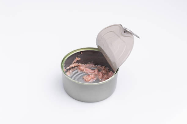 istock Open canned tuna tin on a white background; copy space, soft light, studio shot 1181731525