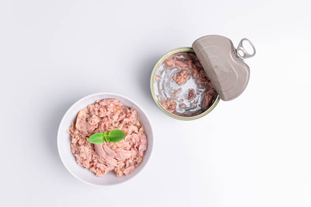 istock Canned tuna in a white bowl, isolated on white; empty open tuna tin on a white background; copy space, soft light, studio shot 1181731541