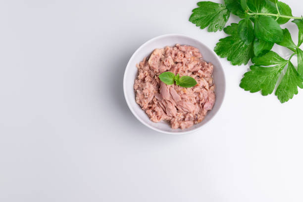 istock Canned tuna in a white bowl, isolated on white; empty open tuna tin on a white background; copy space, soft light, studio shot 1181732247
