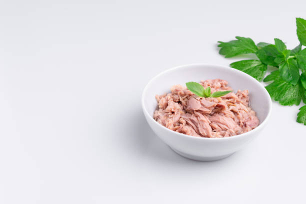 istock Canned tuna in a white bowl, isolated on white; empty open tuna tin on a white background; copy space, soft light, studio shot 1181732273
