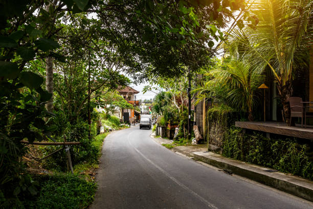 istock Typical street of Bali island. 1181733530