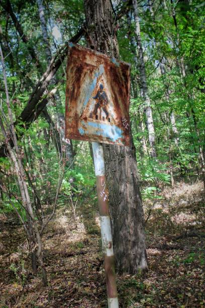 istock Pedestrian crossing in the ghost town 1181734195