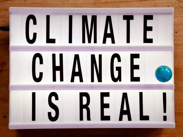 istock Climate Change is Real in Light Box Trend 1181734398