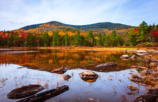 istock Reflections in the White Mountains 1181734525