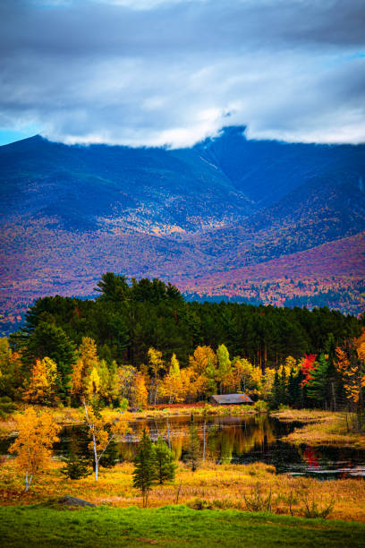 istock Autumn landscape. Pond with mountain range background 1181735089