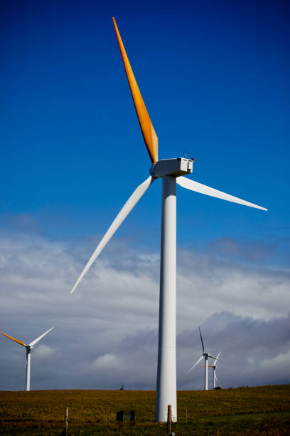 istock Wind turbine in Hawaii 1181736354