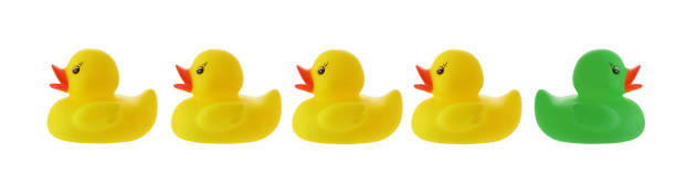 istock Yellow ducks in a row with green duck going wrong way isolated on white with clipping path 1181736397